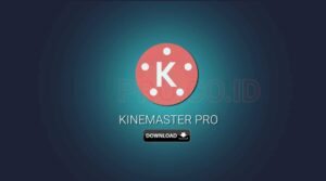 Kinemaster Pro 3